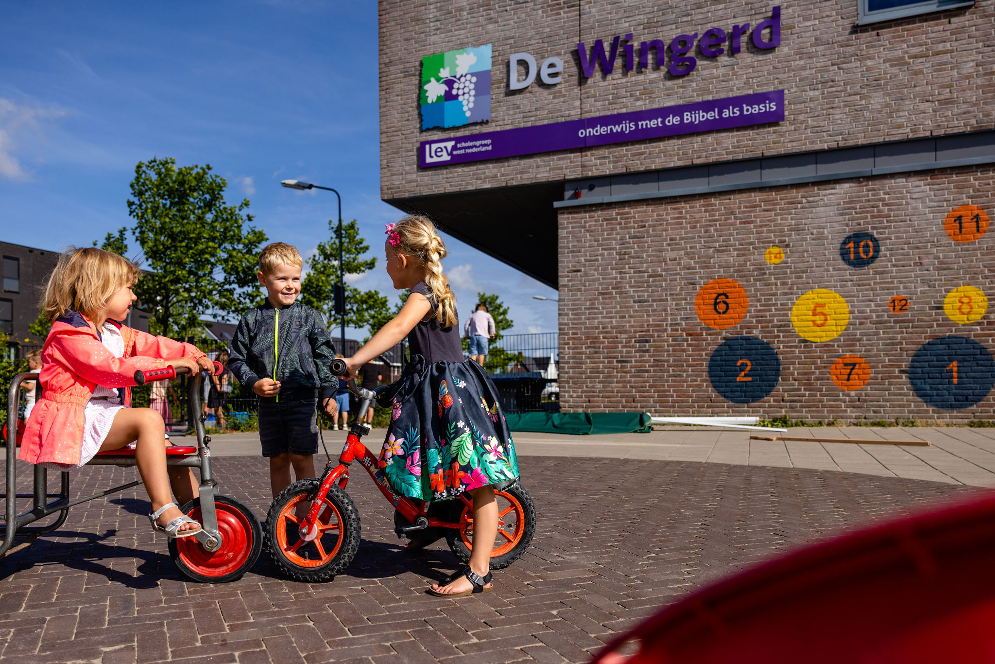 Stockfoto Wingerd 20240004
